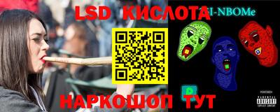 spice Новодвинск