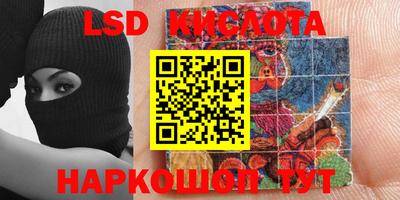 spice Новодвинск