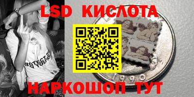 spice Новодвинск