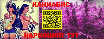 spice Новодвинск