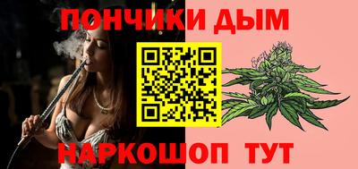 spice Новодвинск