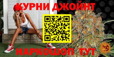 тгк Новокубанск
