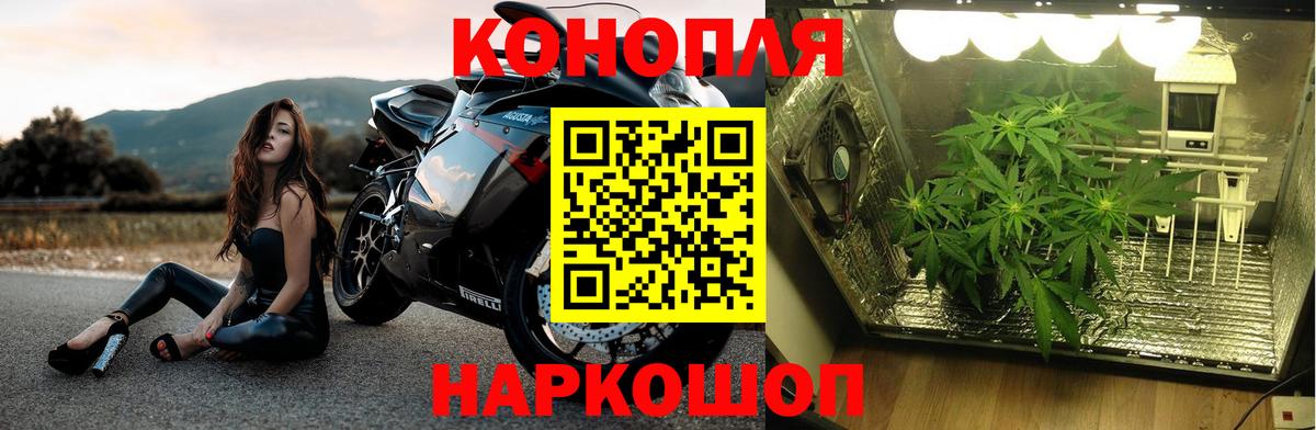 МАРИХУАНА THC 21%  Шишки марихуана марихуана  Скопин  Шишки марихуана SATIVA & INDICA  Вход с VPN 